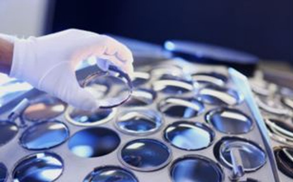 美麗島眼鏡怎么樣，大家都說美麗島是私人定制領(lǐng)導(dǎo)者，多焦鏡片到底好不好