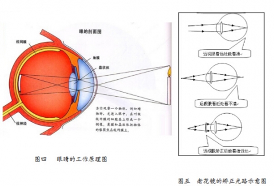美麗島眼鏡：老花鏡不可隨意亂帶，需要在專業(yè)驗光后科學配制